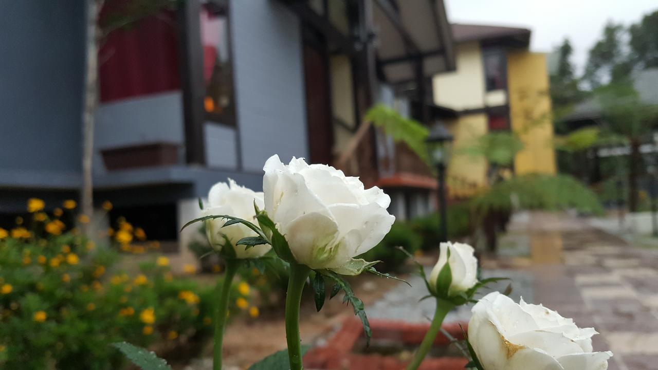Casa Loma Cameron Highlands Villa Екстериор снимка