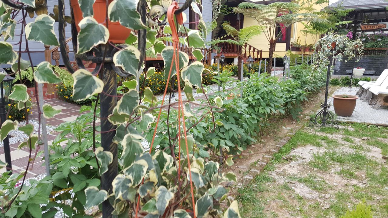 Casa Loma Cameron Highlands Villa Екстериор снимка