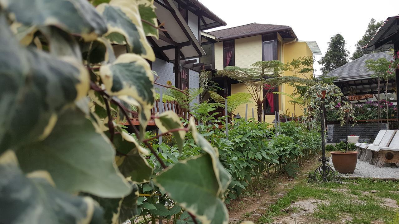 Casa Loma Cameron Highlands Villa Екстериор снимка